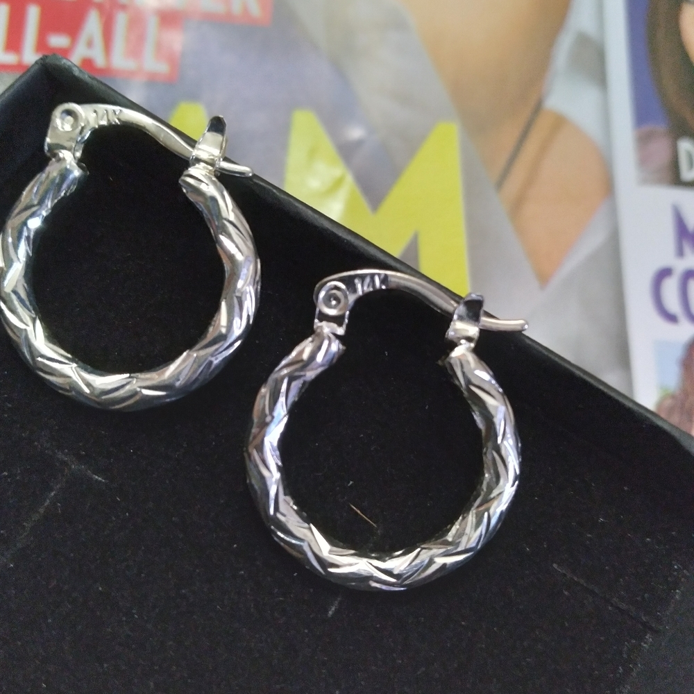 Sterling silver Earrings